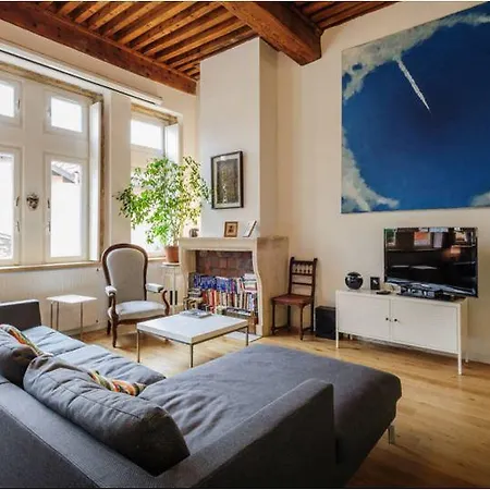Appartement Duplex Coeur St Jean Lyon